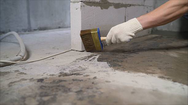 SJ Waterproofing Pros Waterproofing coverage map for Dayton, WA and surrounding area